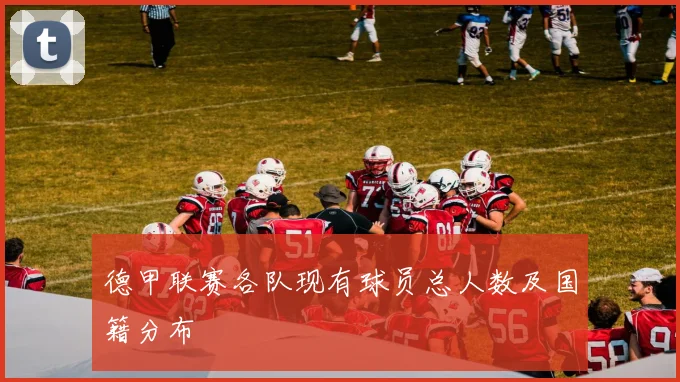 德甲联赛各队现有球员总人数及国籍分布