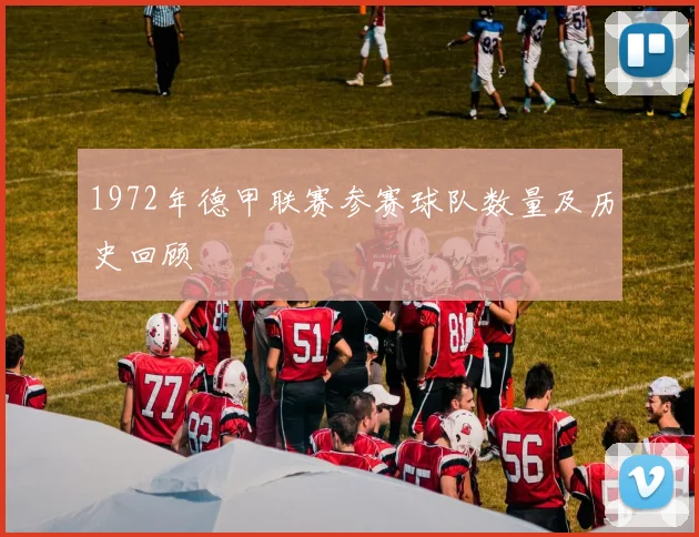 1972年德甲联赛参赛球队数量及历史回顾