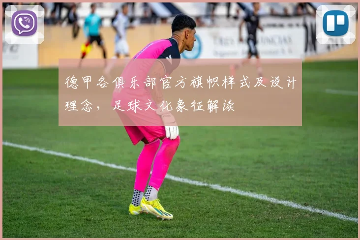 德甲各俱乐部官方旗帜样式及设计理念，足球文化象征解读